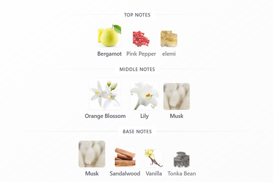 Musk 01 by Swiss Arabian – 1ml Sample Decant