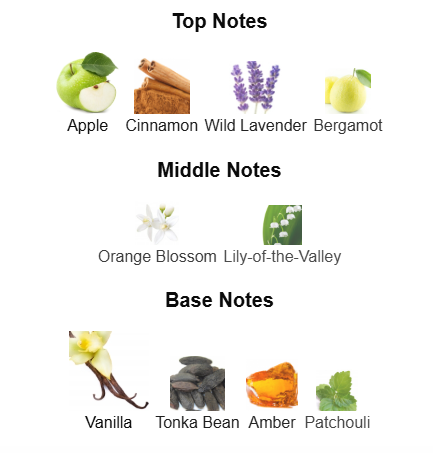 9pm Afnan - 1ml Sample Decant