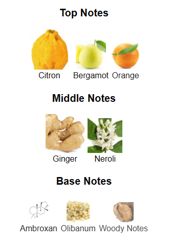 Mazaaj Infused By Zimaya - 1ml Sample Decant