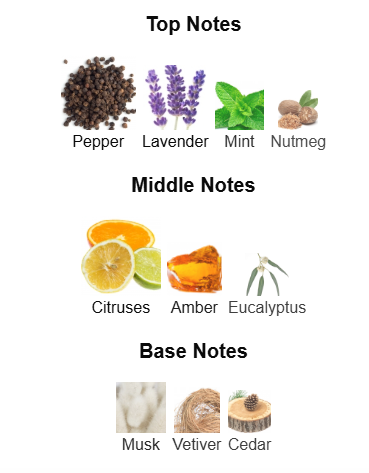 Modest Pour Homme Une - 1ml Sample Decant