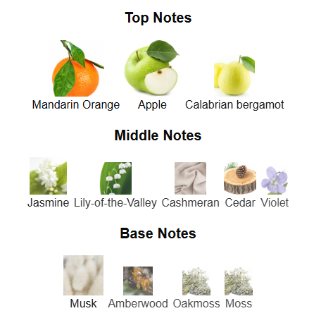 Nexa Immortal By Rue Broca - 1ml Sample Decant