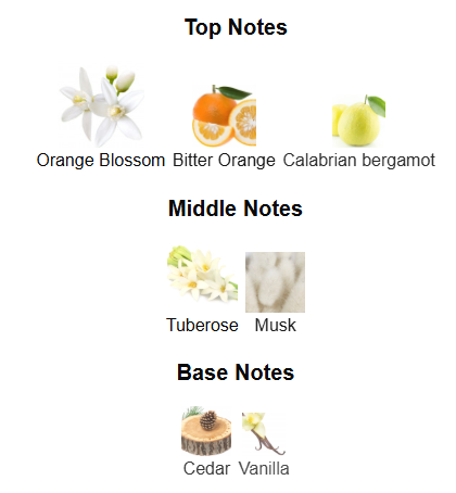 Only You By Zimaya - 1ml Sample Decant