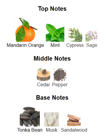 Alpine Homme Sport By Maison Alhambra – 1ml Sample Decant