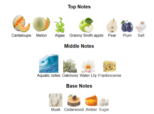 Odyssey BAHAMAS Armaf – 1ml Sample Decant