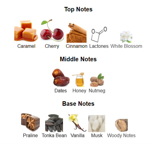 Odyssey Black Forest by Armaf – 1ml Sample Decant