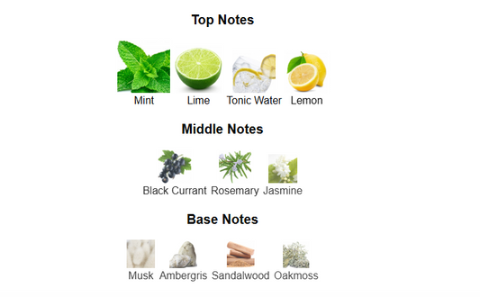 Platine Blanc Aromatix by French Avenue – 1ml Sample Decant