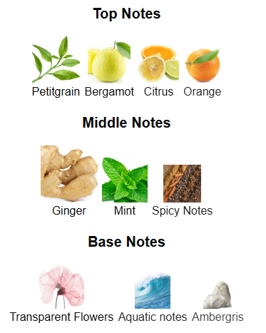 Essence de Blanc By French Avenue - 1ml Sample Decant