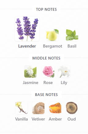 Bloom Spectrum by Ahmed Al Maghribi – Sample Decant