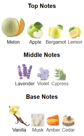 El Cielo Pour Homme By Armaf – 1ml Sample Decant