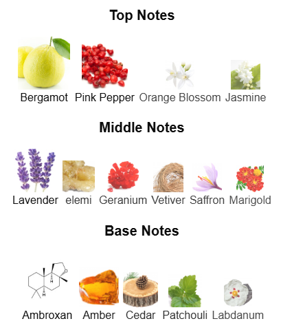 Club de Nuit Urban Man Elixir By Armaf – 1ml Sample Decant