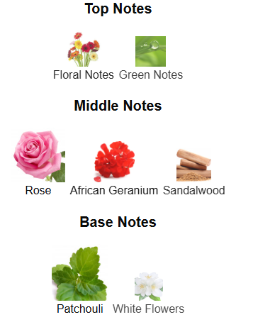 Dancing Leaves By The Woods Collection – 1ml Sample Decant