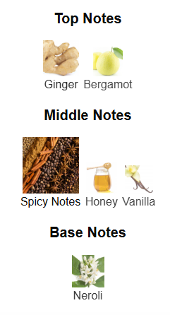 Dark Forest By The Woods Collection – 1ml Sample Decant