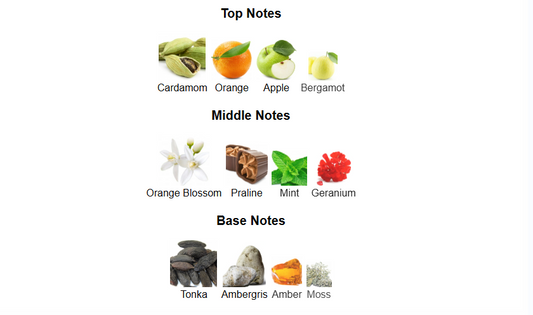 Nitro Elixir by Dumont – 1ml Sample Decant