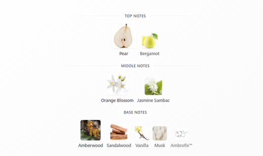 Executor by Bujairami - 1ml Sample Decant