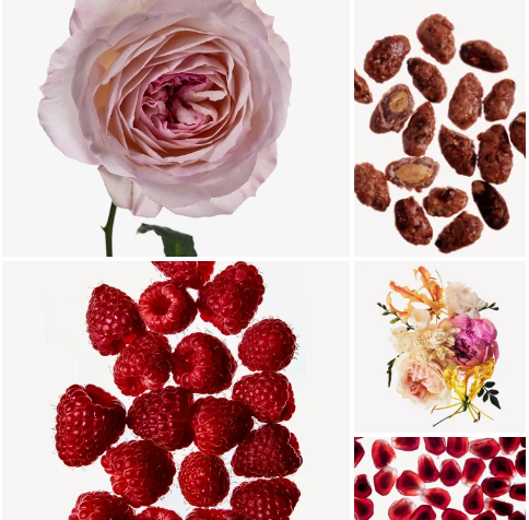 Fatan White By Afnan – 1ml Sample Decant