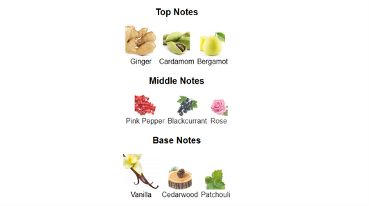 Spectre Ghost by French Avenue – 1ml Sample Decant