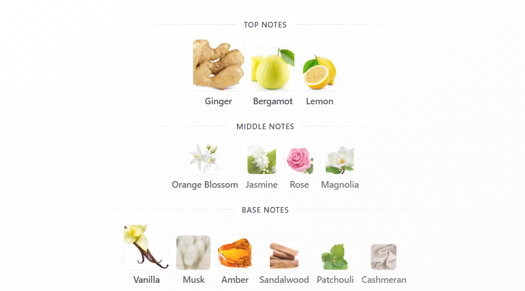 Ravine Ginger by French Avenue – 1ml Sample Decant