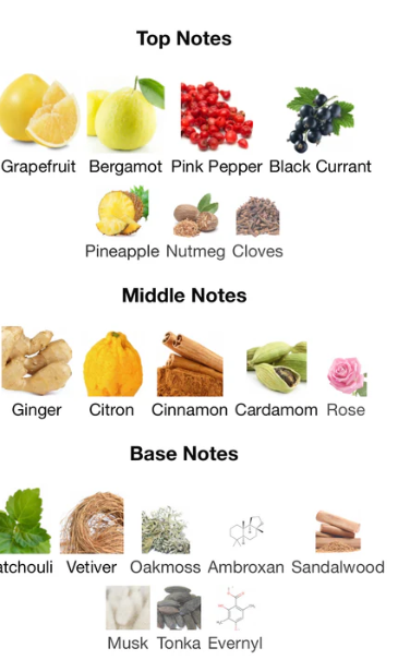 Game of Spades High Roller By Jo Milano – 1ml Sample Decant