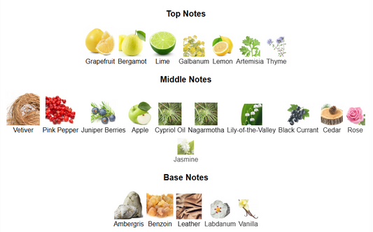 Imperium By Fragrance World – 1ml Sample Decant