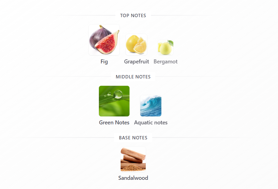 Jungle Vibe by Rayhaan - 1ml Sample Decant