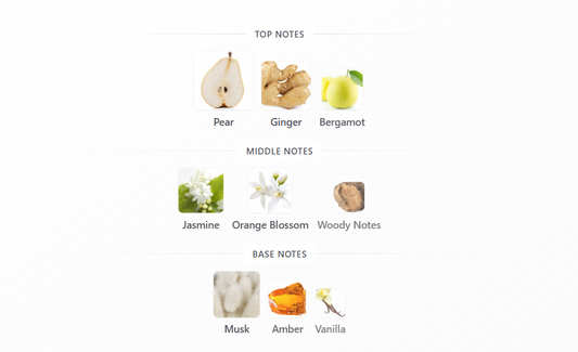 Legacy by Maison Asrar – 1ml Sample Decant