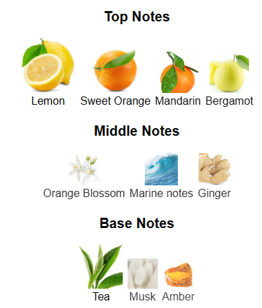 Odyssey Limoni Fresh By Armaf - 1ml Sample Decant