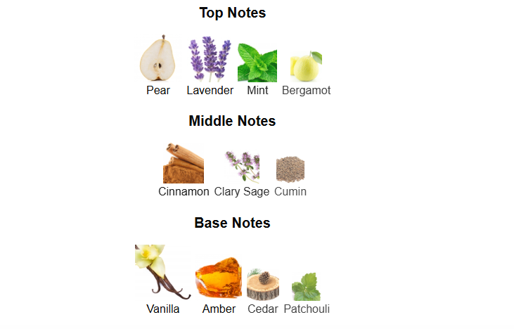 Lion by Rayhaan – 1ml Sample Decant