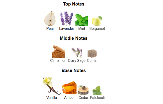 Lion by Rayhaan – 1ml Sample Decant