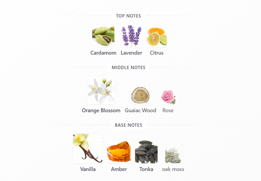 Liquid Brun Limited Edition by French Avenue – 1ml Sample Decant