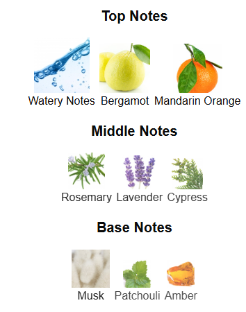 Tres Nuit Lyric By Armaf – 1ml Sample Decant