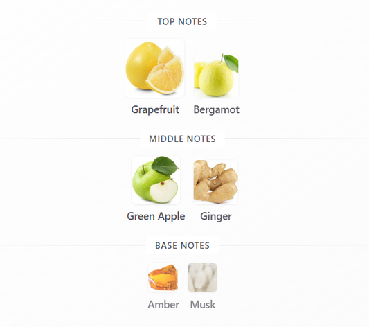 Mazaaj Rhythm by Zimaya - 1ml Sample Decant