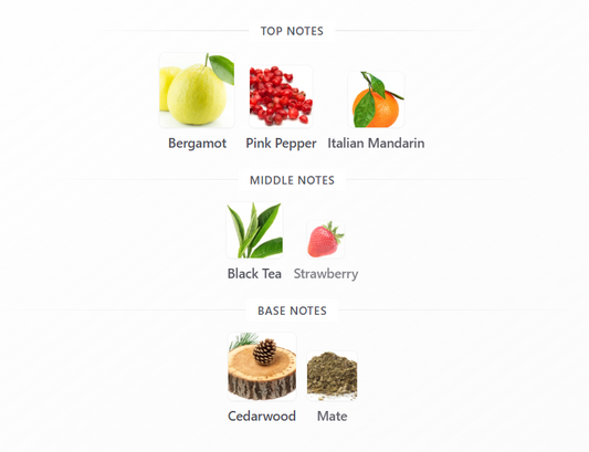 Scentasy Matcha Magix by Armaf - 1ml Sample Decant