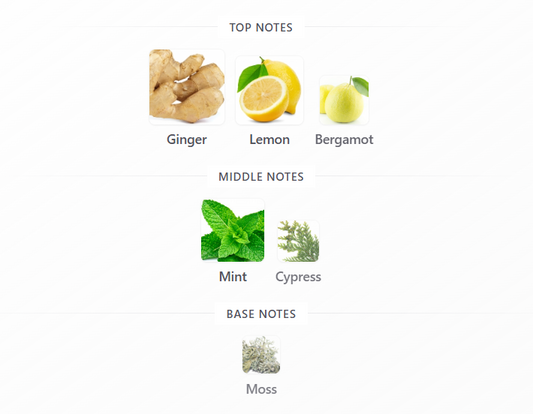 Mawj Moscow Mule by Paris Corner – 1ml Sample Decant