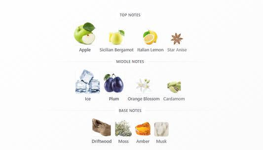 Midnight Frost Intense by Anfar London – 1ml Sample Decant