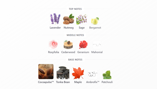 Musamam Black Intense by Lattafa - 1ml Sample Decant