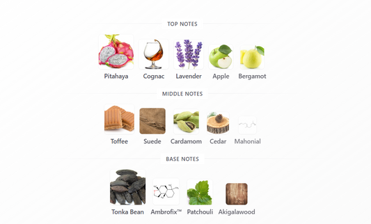 9 PM Night Out by Afnan - 1ml Sample Decant