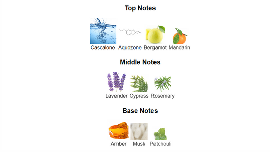 Ocean Rush by Rayhaan – 1ml Sample Decant