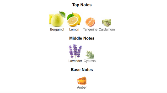 Pacific by Rayhaan – 1ml Sample Decant