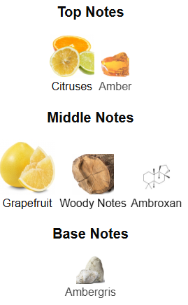 Panorama By The Woods Collection Panorama The Woods Collection