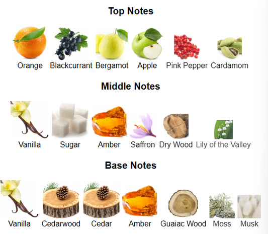 Nitro Platinum By Dumont – 1ml Sample Decant