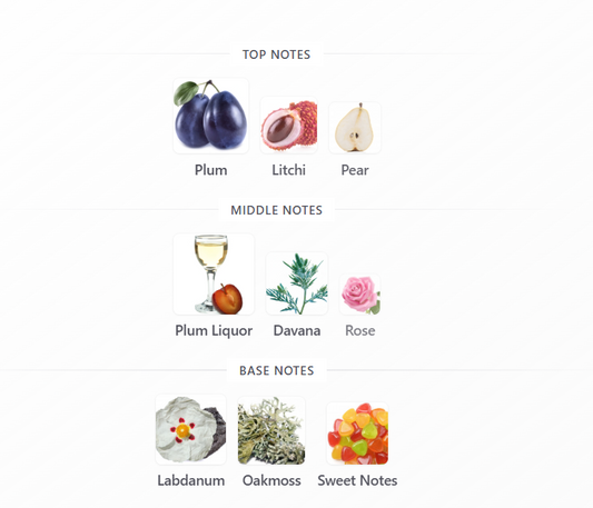 Plum Liquor by Paris Corner – 1ml Sample Decant