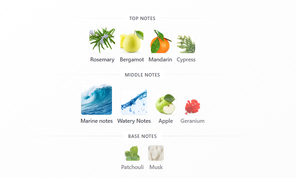 Raees by Arabiyat Prestige – 1ml Sample Decant