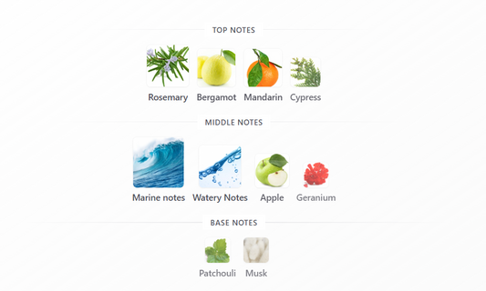 Raees by Arabiyat Prestige – 1ml Sample Decant