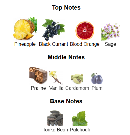 Odyssey Revolution By Armaf – 1ml Sample Decant