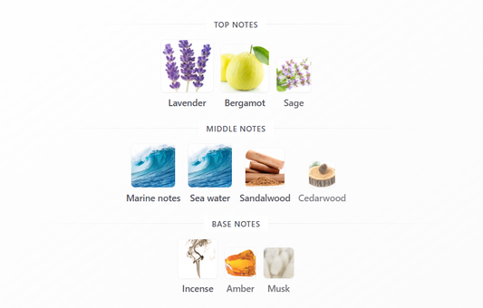 Ripple by French Avenue – 1ml Sample Decant