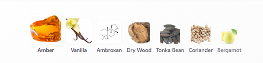 Royal Noir by King of Kings - 1ml Sample Decant