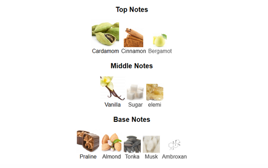 Historic Sahara by Afnan – 1ml Sample Decant