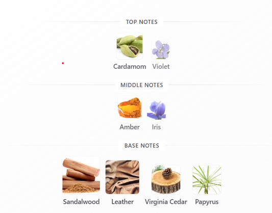 Stallion 53 by Emper - 1ml Sample Decant