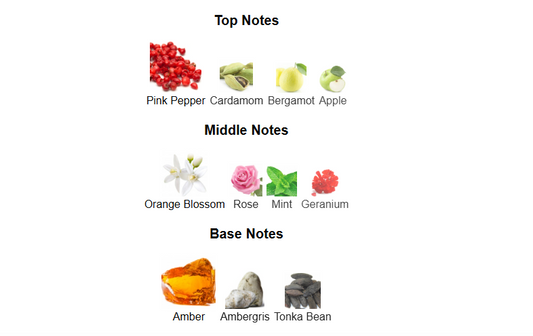 Champion Sugar by Fragrance World – 1ml Sample Decant