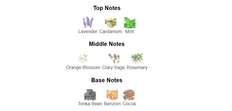 Tonic Malt by Maison Alhambra – 1ml Sample Decant